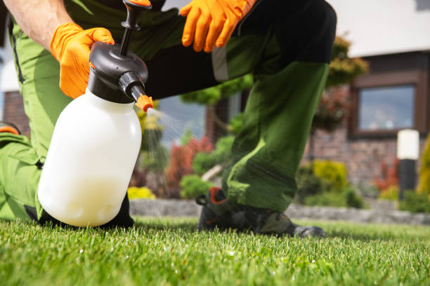 Best Residential Pest Control  in Ke Charles, LA
