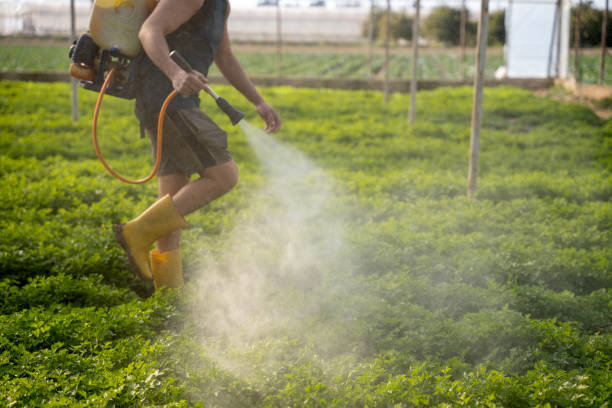 Best Pest Control Near Me  in Ke Charles, LA