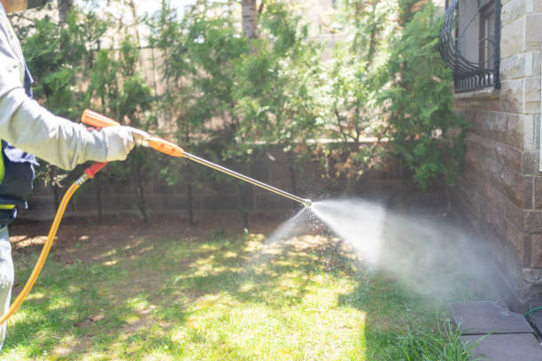 Best Flea Control Services  in Ke Charles, LA