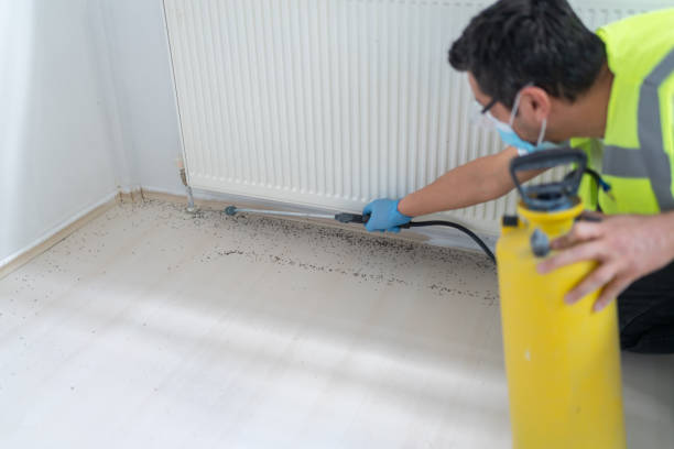 Best Emergency Pest Control  in Ke Charles, LA