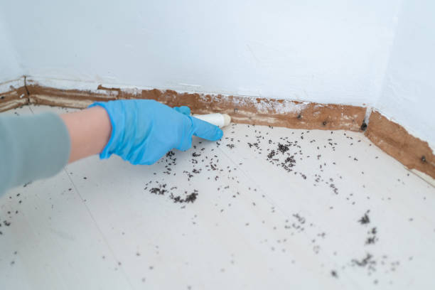 Lake Charles, LA Pest Control Company